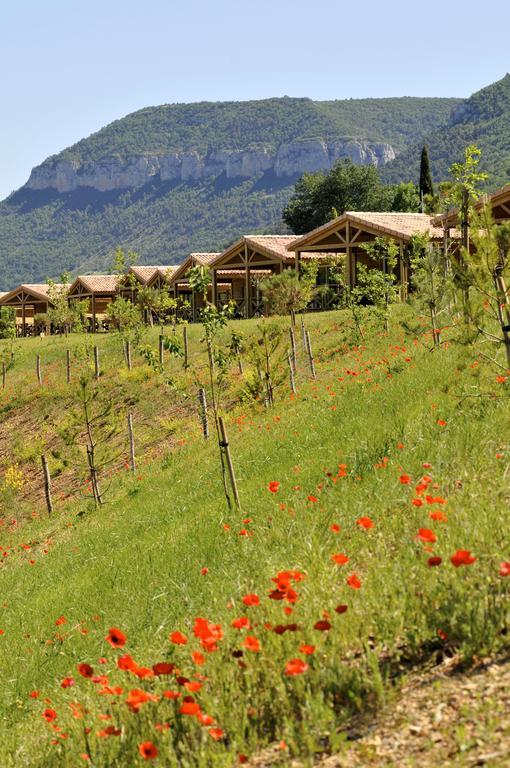 Hotel Domaine Saint Esteve 3*